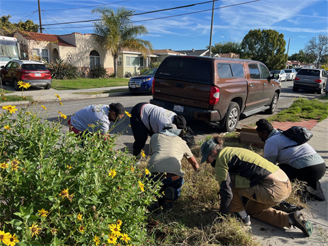 Parkway Workday