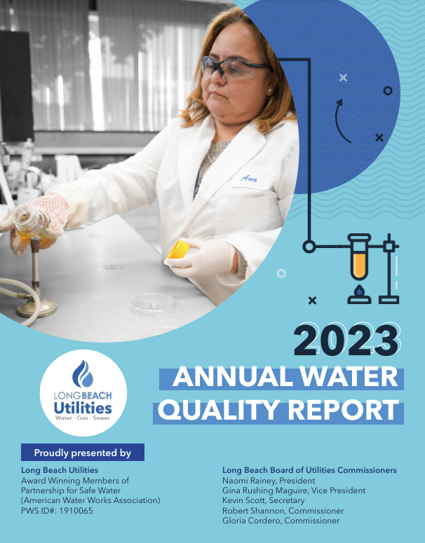 cover of the 2022 annual water quality report