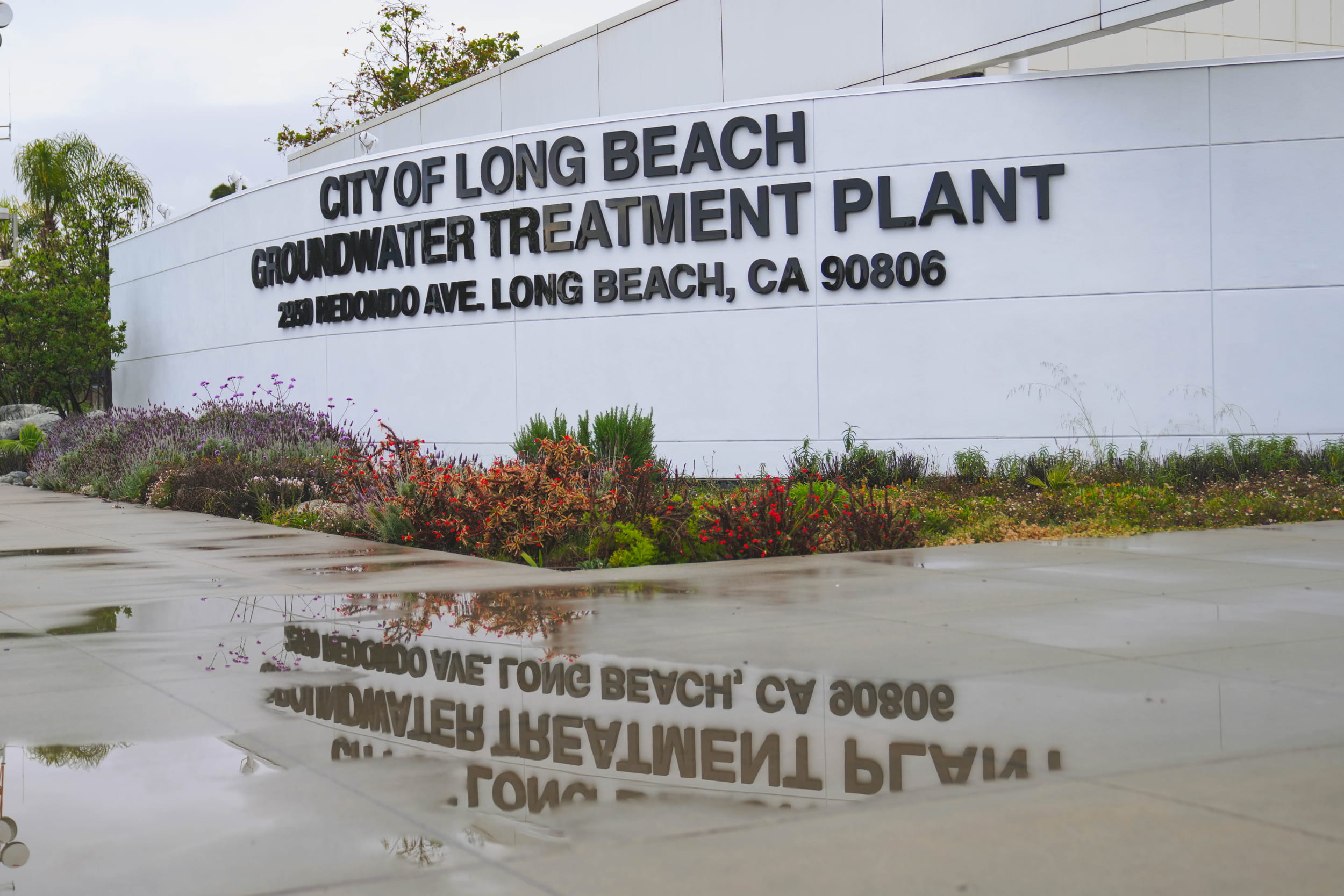 Understanding the City of Long Beach Water Treatment Plant: Processes, Technologies, and Local Impact