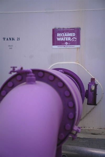 purple reclaimed water pipe with reclaimed water sign on wall